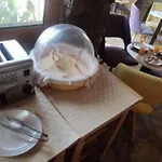 Mykonian Iros & Καλό Λιβάδι