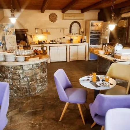 Mykonian Iros & Vila Kalo Livadi