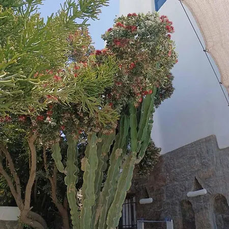 Mykonian Iros & Vila *